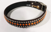 Load image into Gallery viewer, Bear Chocolate/Retro Orange Cabachon/Silver Studded Leather Dog Collar
