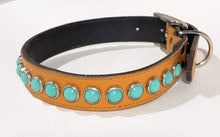 Load image into Gallery viewer, Chesnut/Turquoise Cabachon Leather Dog Collar