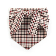 Load image into Gallery viewer, Neckwear - Classic Plaid