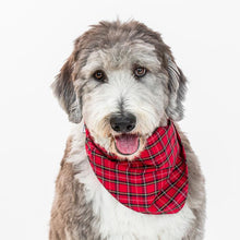 Load image into Gallery viewer, Neckwear - Red Plaid